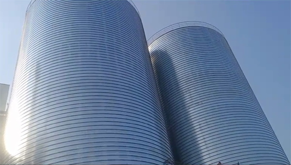 汉南2座混凝土高架卷板仓